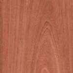 Sapele Veneered MDF